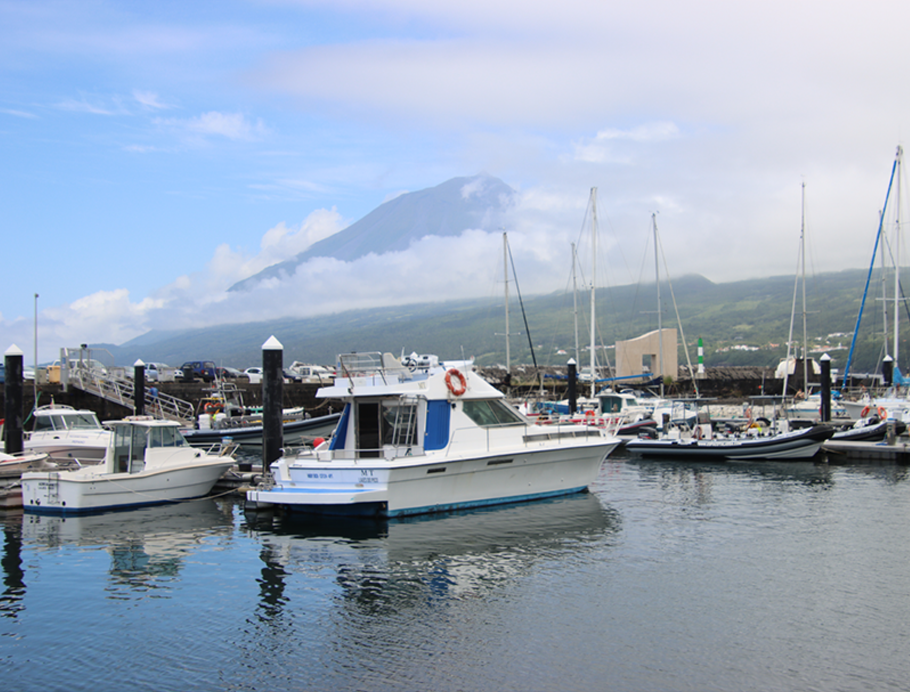 pico harbour